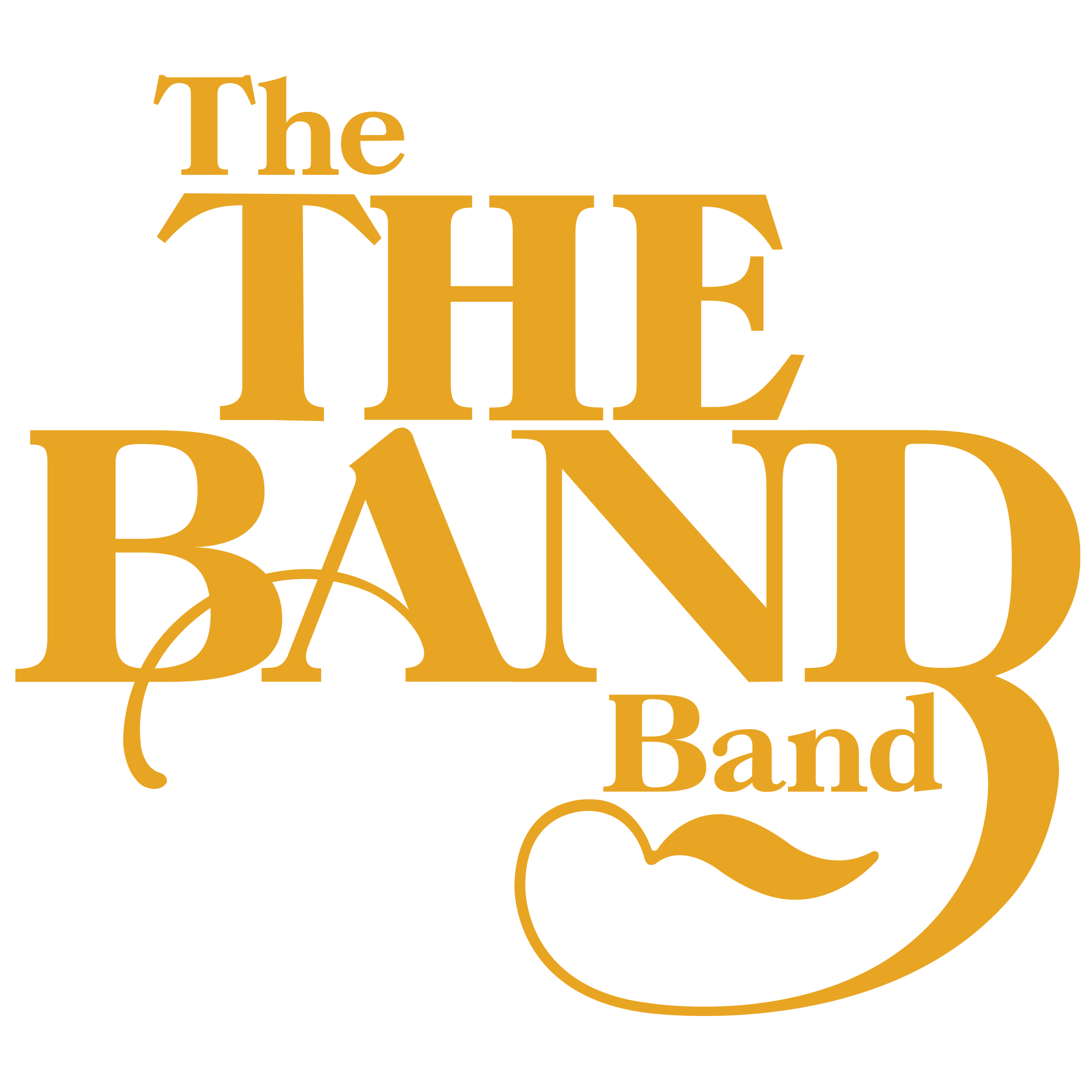 The THE BAND band LIVE at Vinegar Hill Music Theatre in Arundel Maine