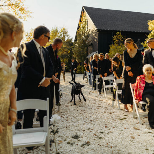 Vinegar Hill Music Theatre Weddings