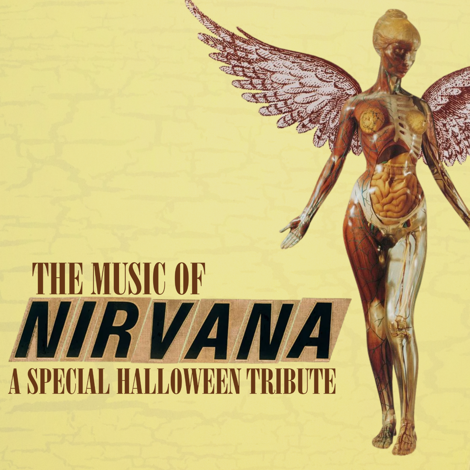 Nirvana Tribute LIVE at Vinegar Hill Music Theatre